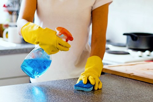 Illustration of cookie settings for a carpet cleaning website