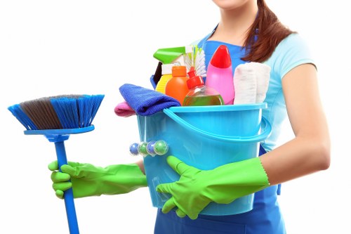 Domestic cleaner working in a Wandsworth kitchen and living area