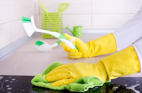 Finished oven cleaning result for a busy Wandsworth household