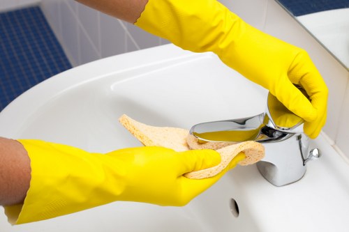 Deep cleaning service for lingering pet smells in Wandsworth