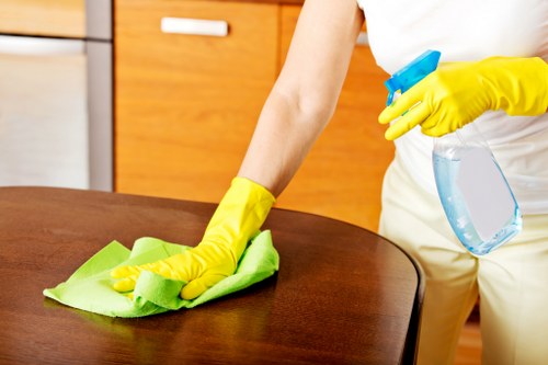 Removing stains and odours from a mattress during a cleaning service